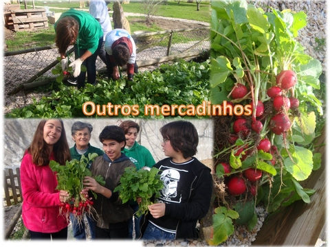 Mercadinho